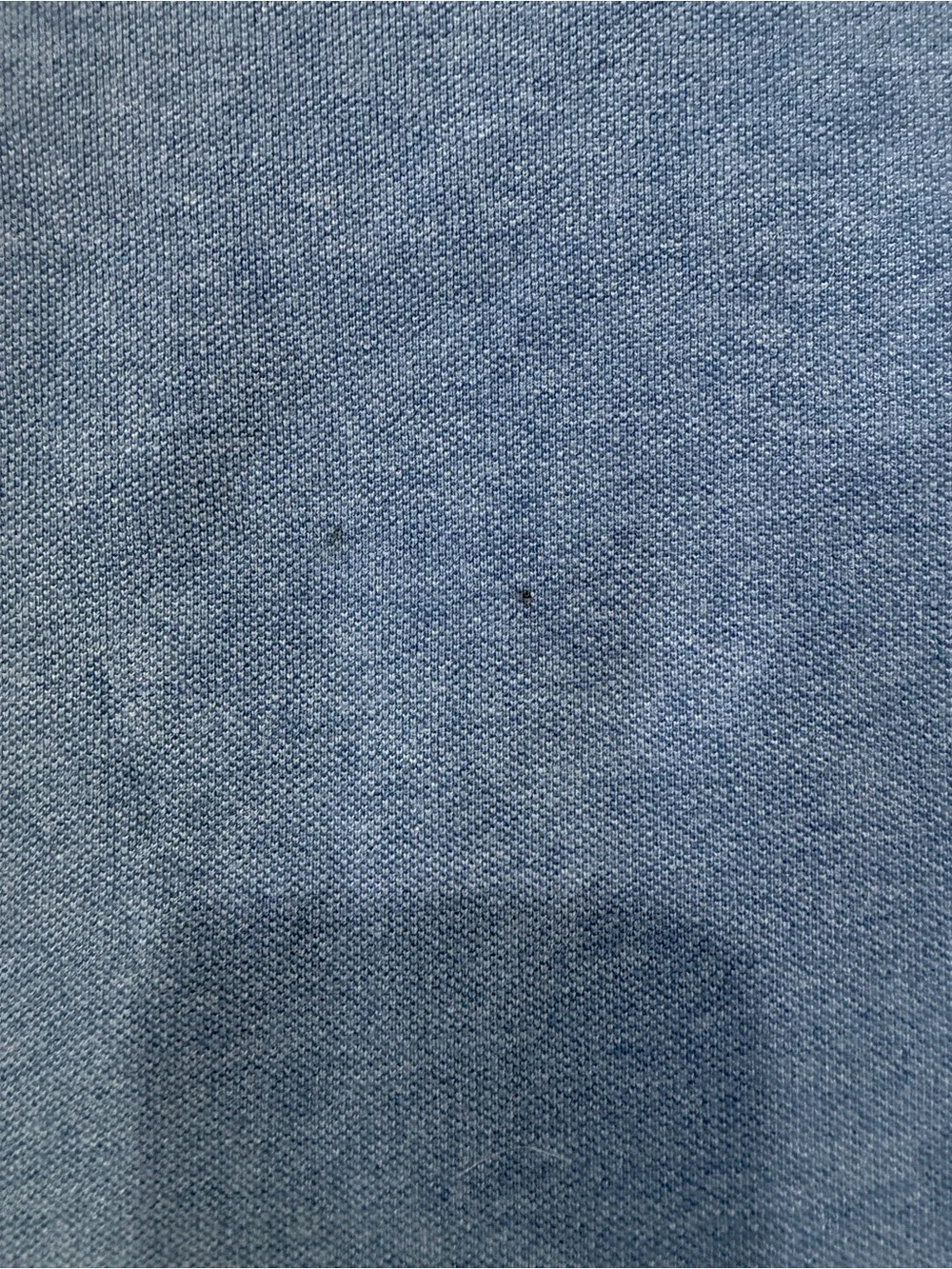 Polo Ralph Lauren brand polo